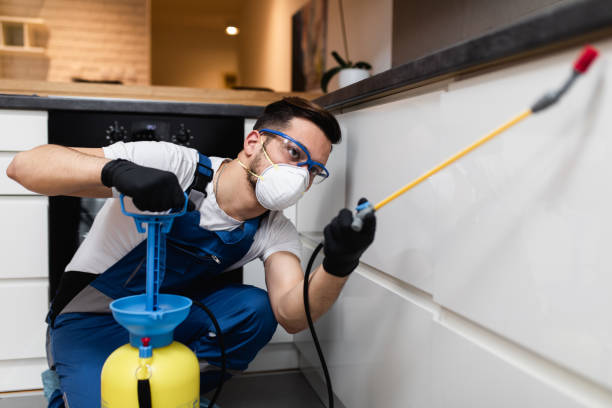 Reliable Lake Bryan, TX Pest Control Solutions