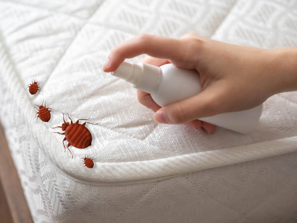 Best Pest Prevention Services  in Lake Bryan, TX